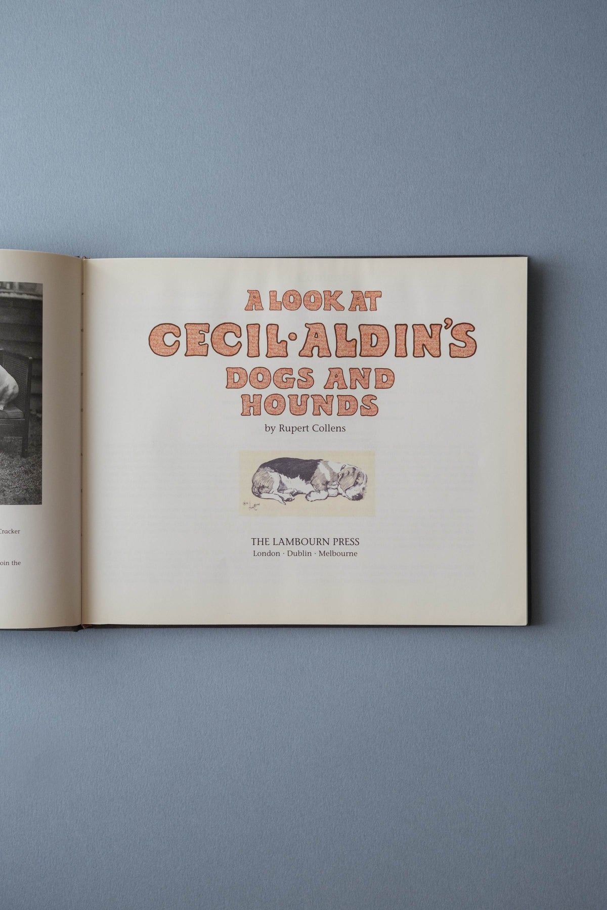 A Look at Cecil Aldin’s Dogs and Hounds, 1990