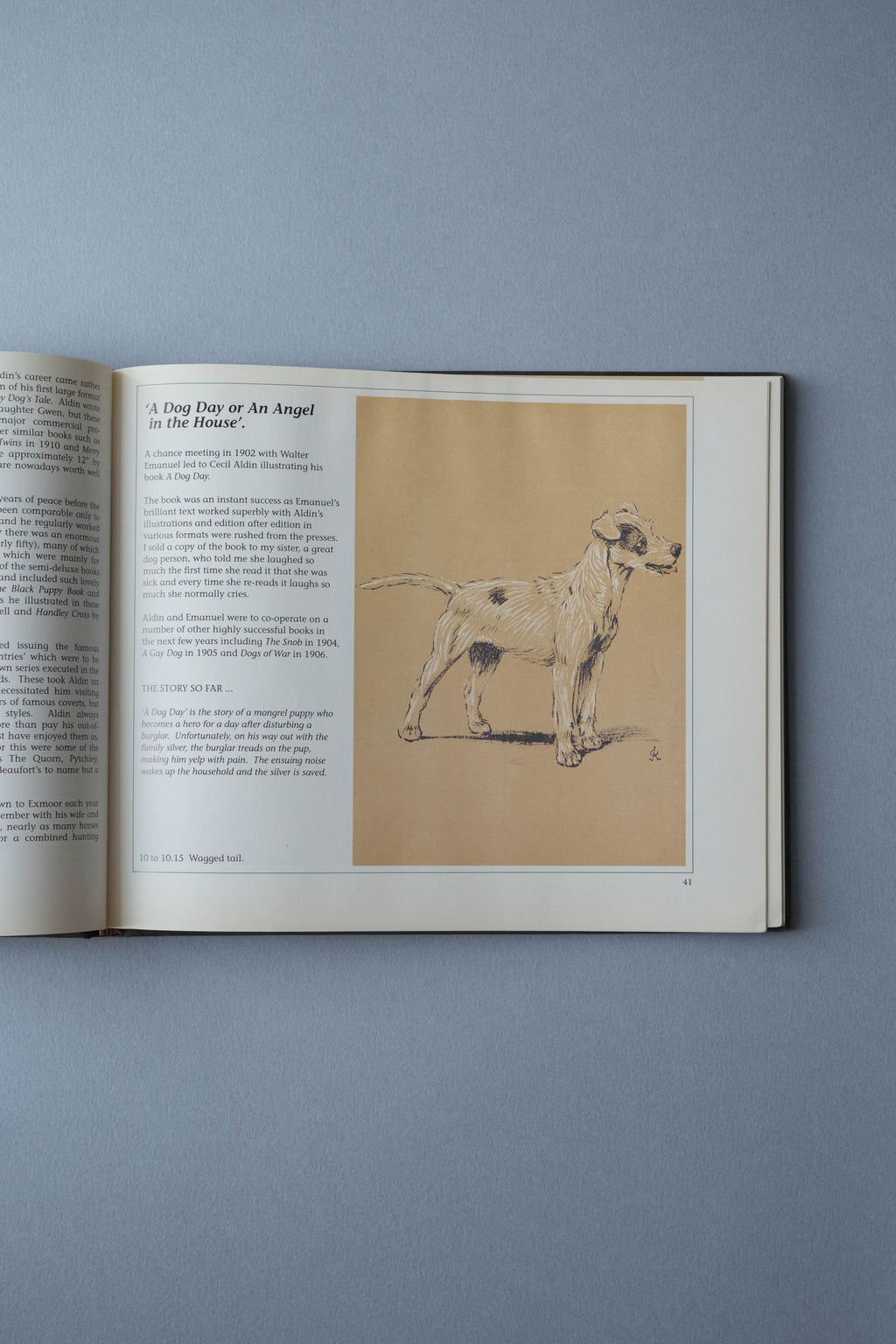 A Look at Cecil Aldin’s Dogs and Hounds, 1990