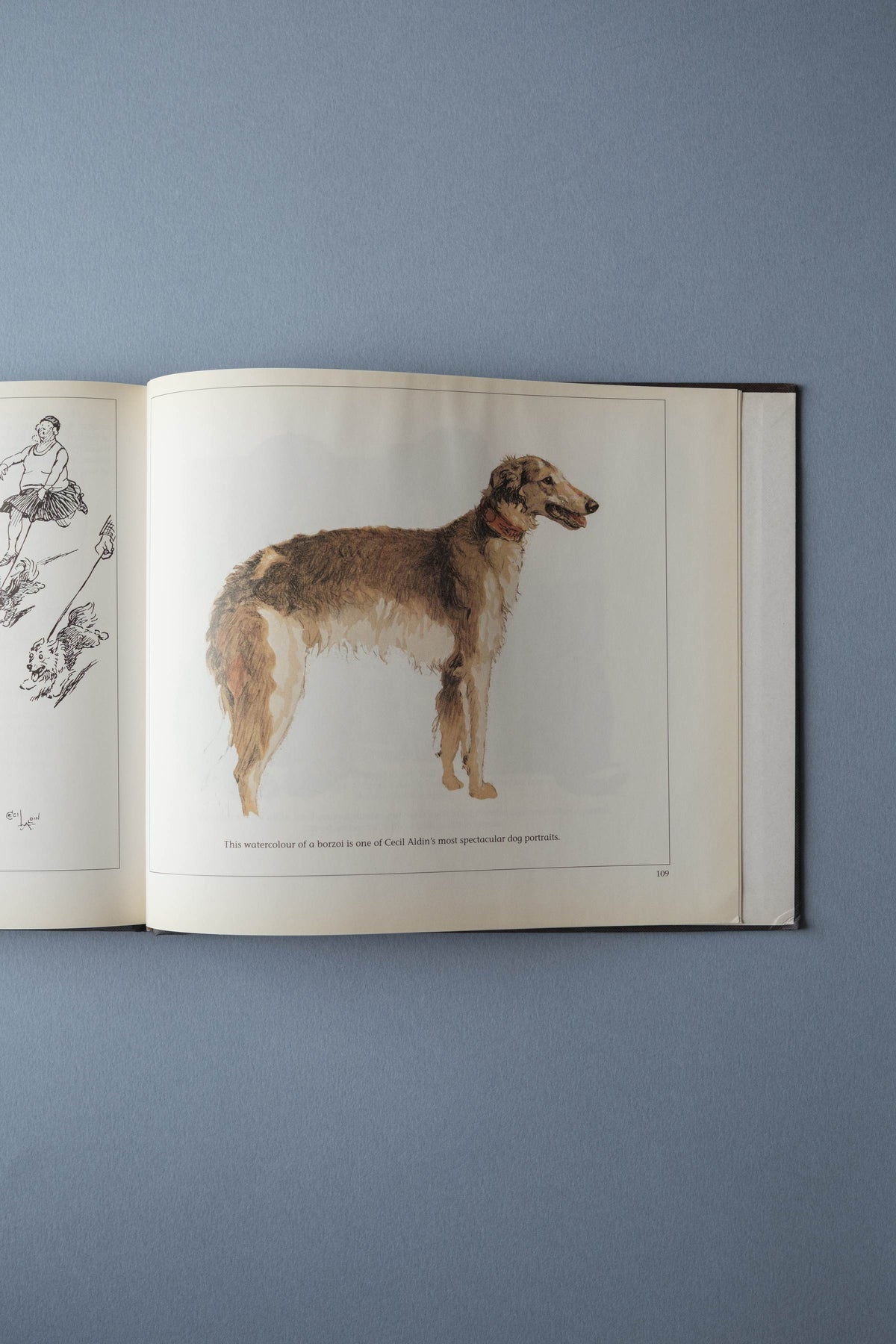 A Look at Cecil Aldin’s Dogs and Hounds, 1990