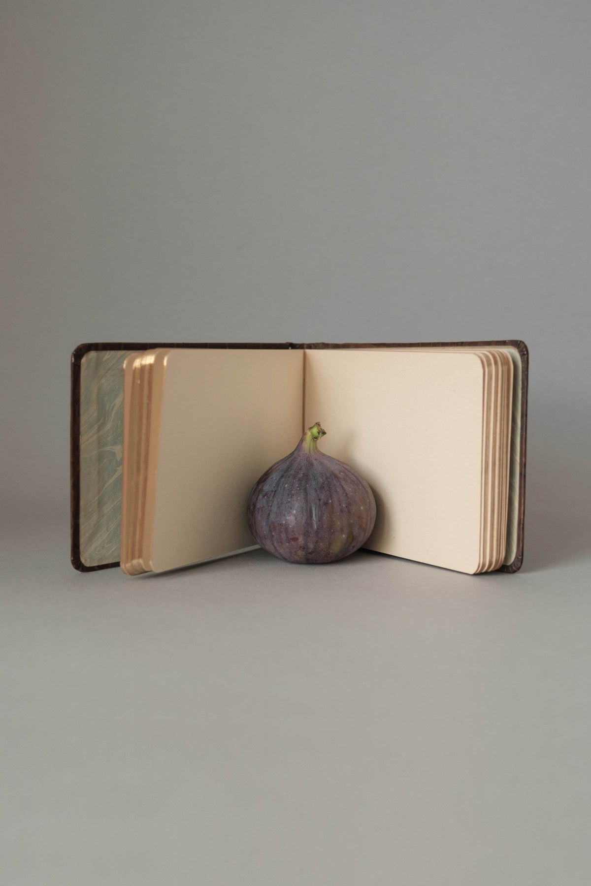 Vintage Autograph Book, Gilt-Edged, c.1925