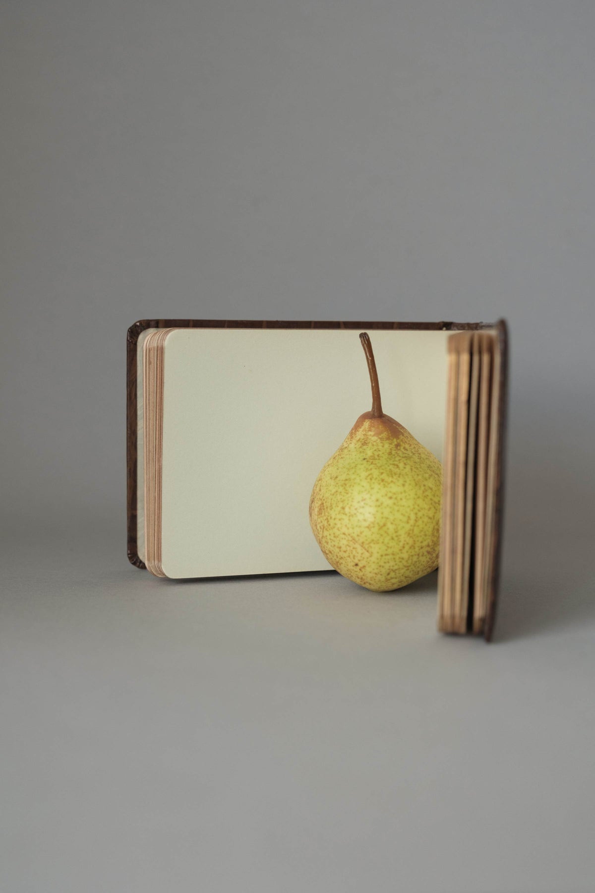 Vintage Autograph Book, Gilt-Edged, c.1925