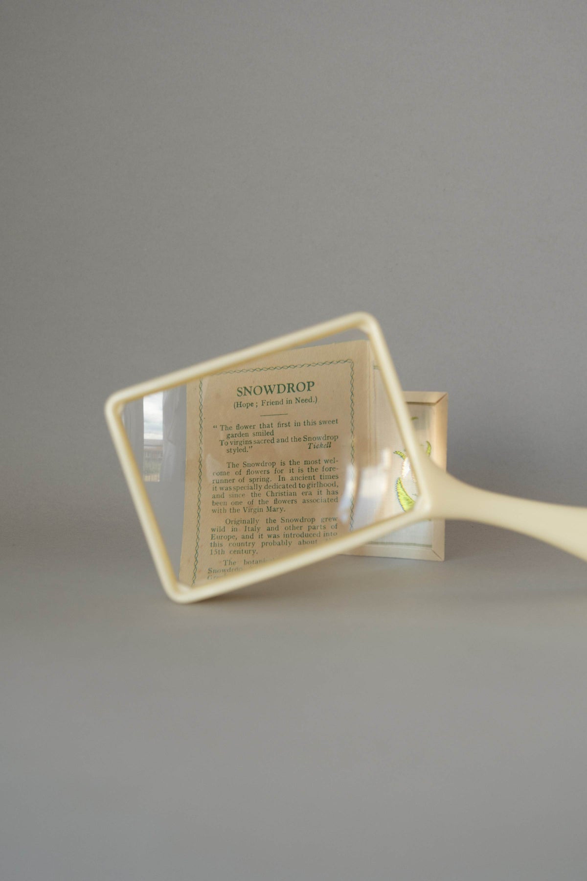 COIL S449 Plasta Major Magnifier, c.1950s