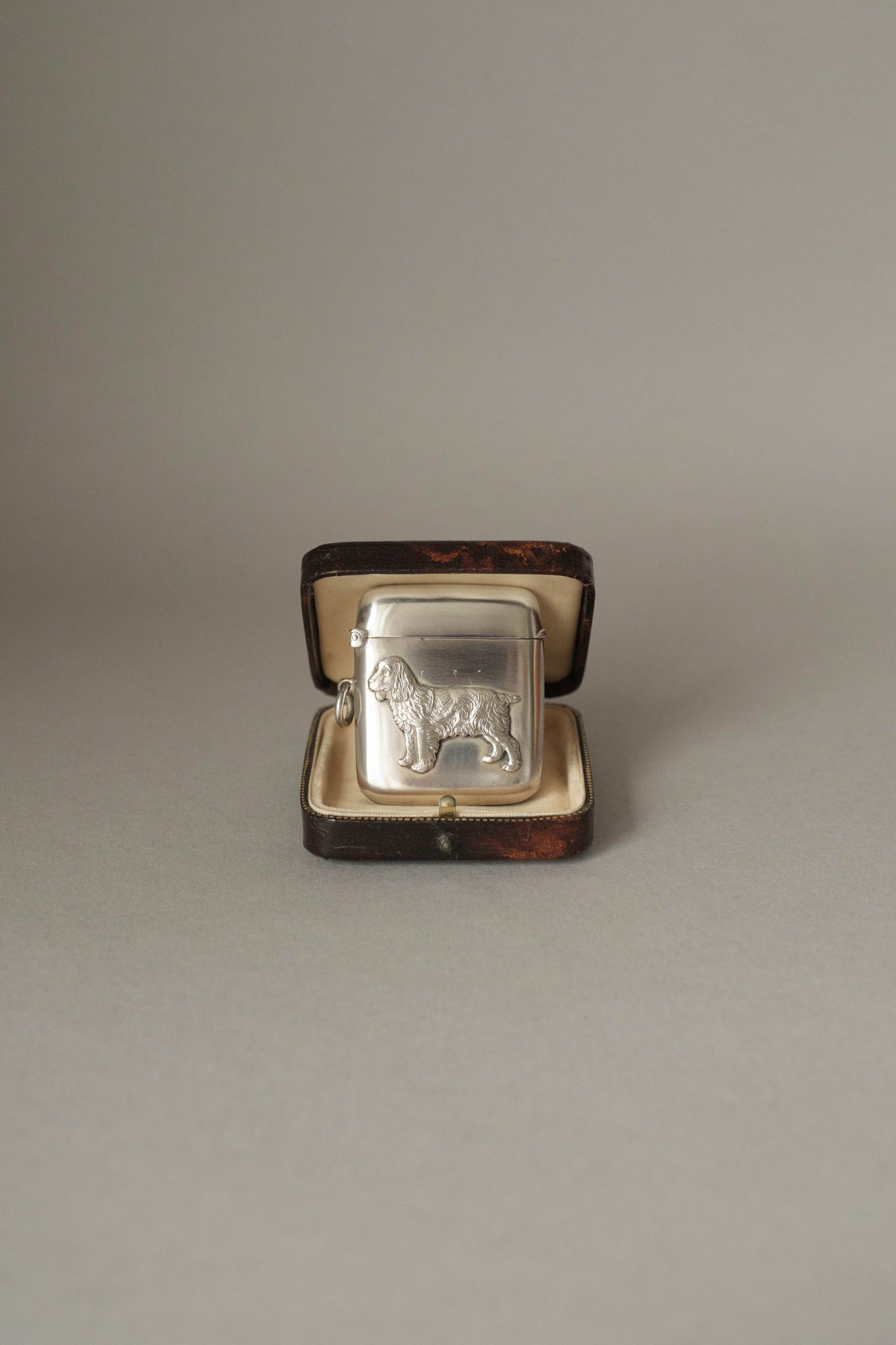 Cocker Spaniel Vesta Case, 1913