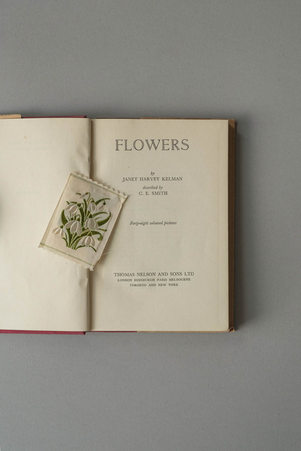 Flowers by Janet Harvey Kelman