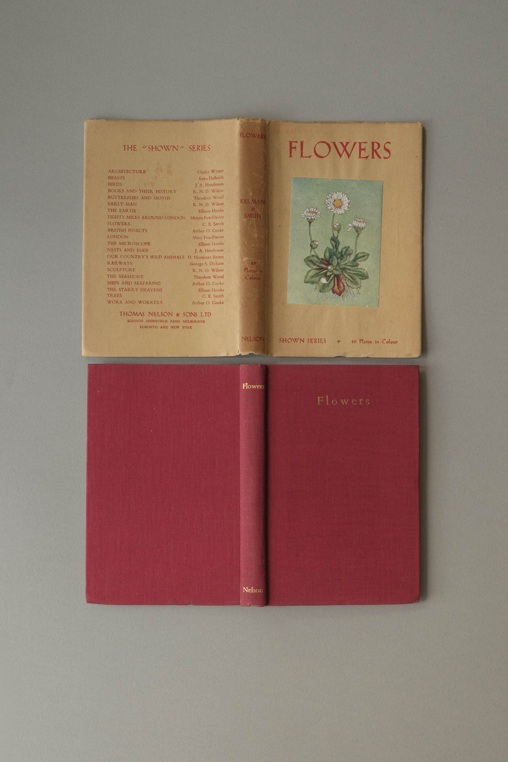 Flowers by Janet Harvey Kelman